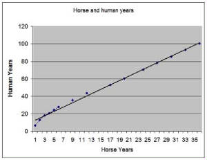 horse_human_age_equivalents.jpg